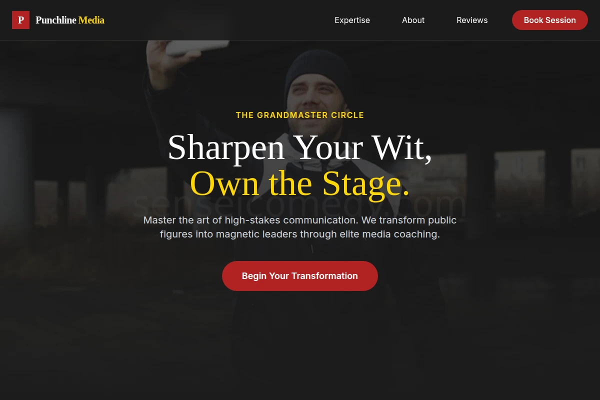 Punchline Media Training